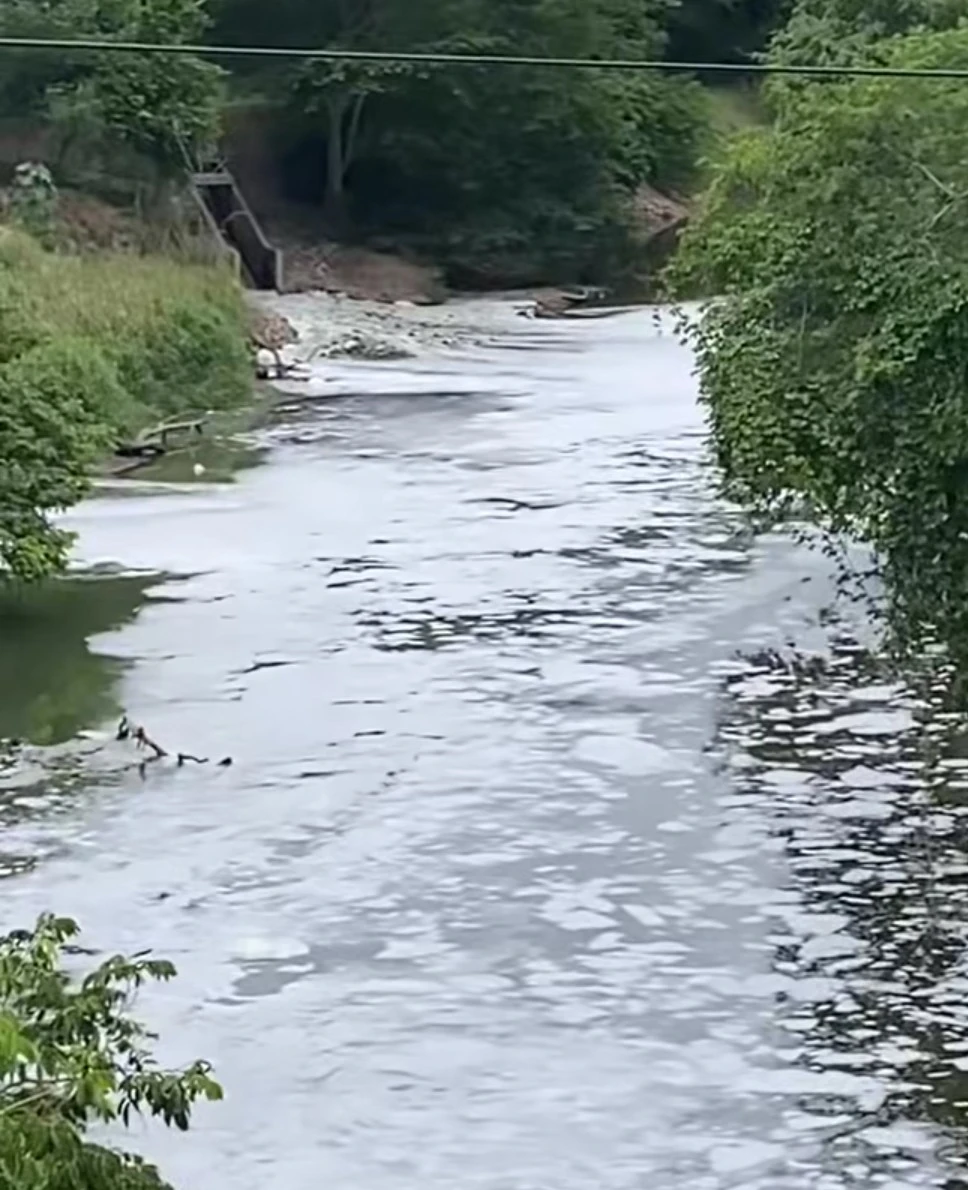 Río Cesar, a la altura del puente Salguero, cubierto por espuma blanca y aguas de color marrón.