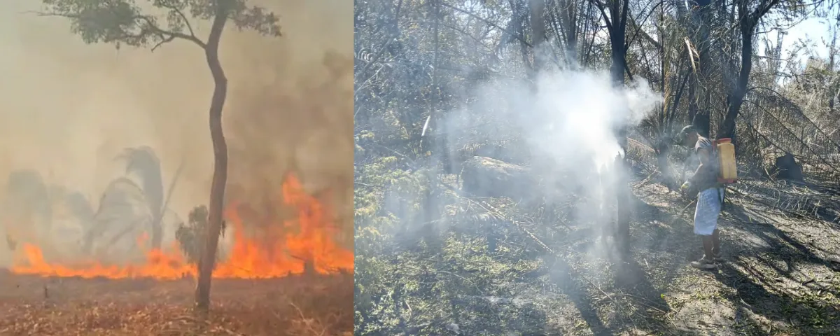 Fotografías de los incendios activos: Foto: suministrada.
