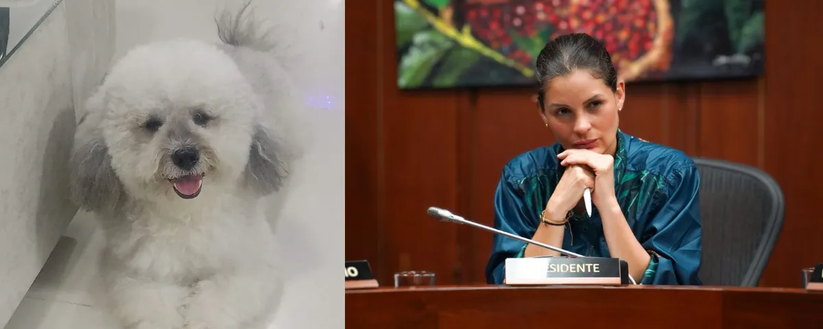 Niki, perrita fallecida y Andrea Padilla senadora de la República.