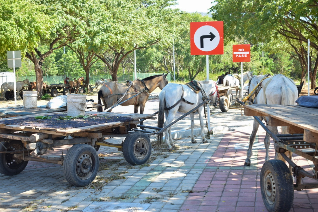 Carromuleros participaron en la jornada de actualización de datos realizada en el Parque de la Leyenda Vallenata. Foto: Said Armenta.