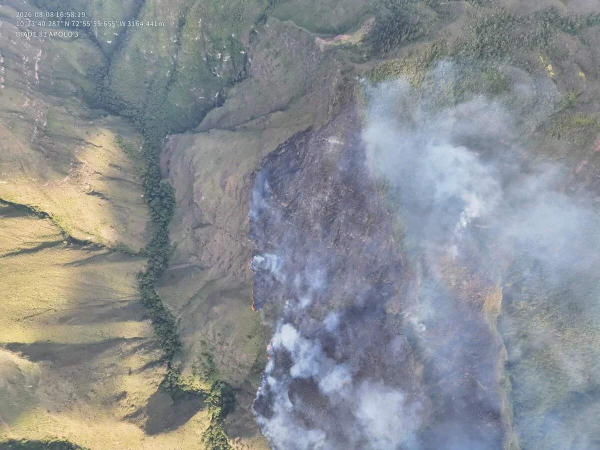 Autoridades del Cesar verifican y atienden los incendios forestales reportados en Manaure y la zona rural de Curumaní, mientras se evalúa la presencia de focos activos en la Serranía del Perijá. Foto: Gobernación del Cesar.