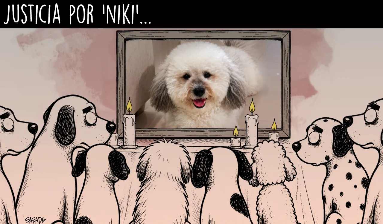 Justicia por ‘Niki’…