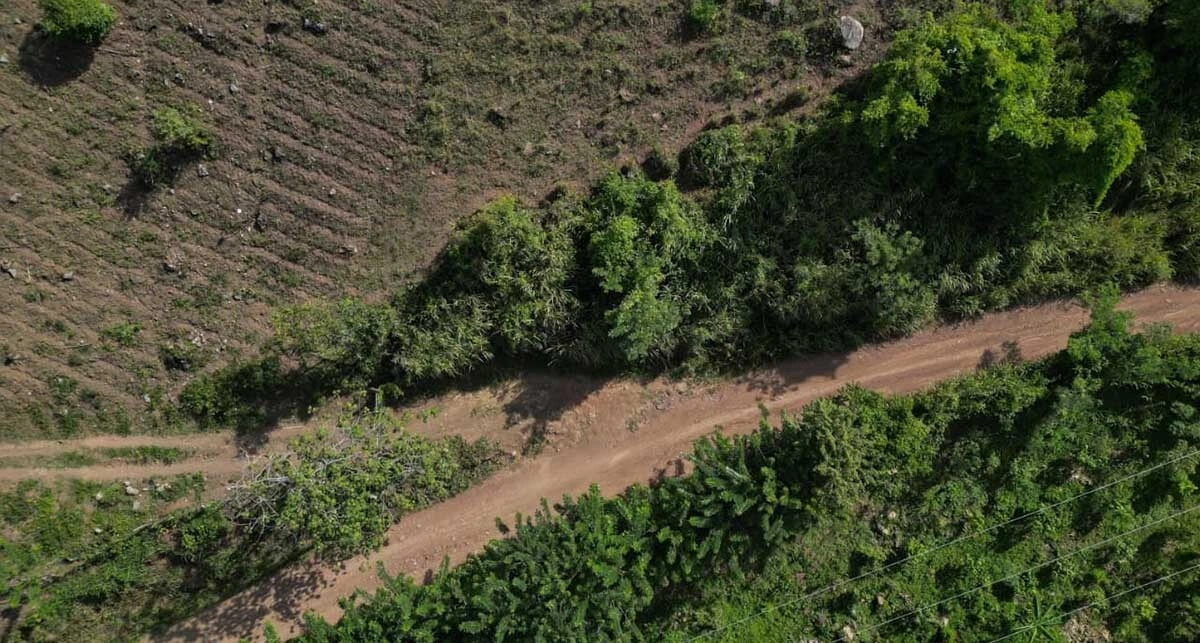 La Gobernación del Cesar prepara medidas para fortalecer el riego y asegurar alimento para el ganado ante los riesgos asociados al fenómeno de El Niño. Foto: Gobernación del Cesar.