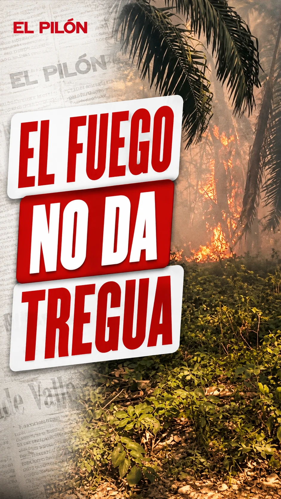 El fuego no da tregua.