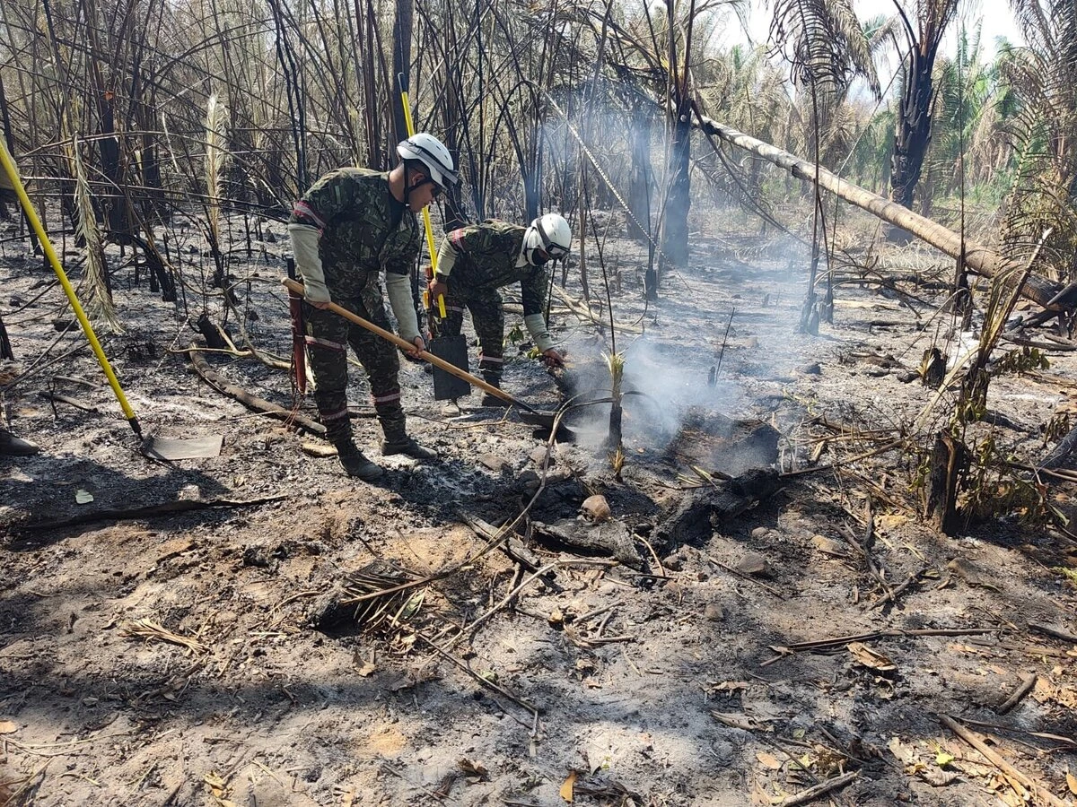 Incendios forestales afectan zonas rurales del Cesar, especialmente en municipios como Curumaní, Chiriguaná y Manaure. Foto: Gobernación del Cesar.