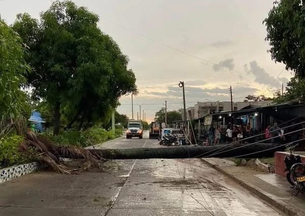 Daños en viviendas, árboles caídos y afectaciones en redes eléctricas dejó uno de los vendavales registrados durante el fin de semana en municipios del Cesar.