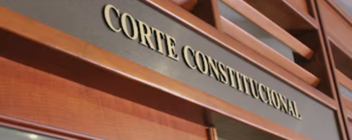 El alto tribunal determinó que impedir el acceso al transporte por el peso o la contextura física de una persona constituye un acto de discriminación.