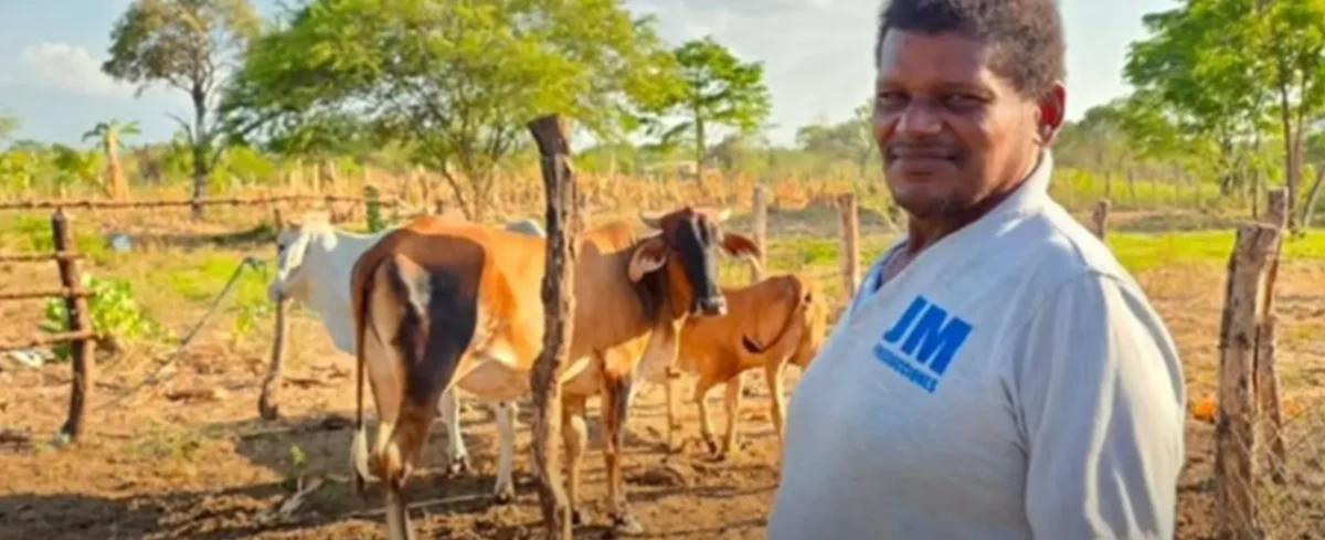 Programa Una Vaca Por La Paz.