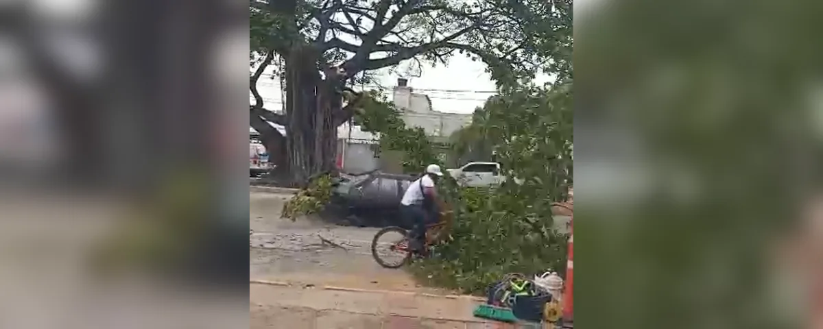 La escena llamó la atención por el peligro al que quedó expuesto el ciudadano durante la jornada.