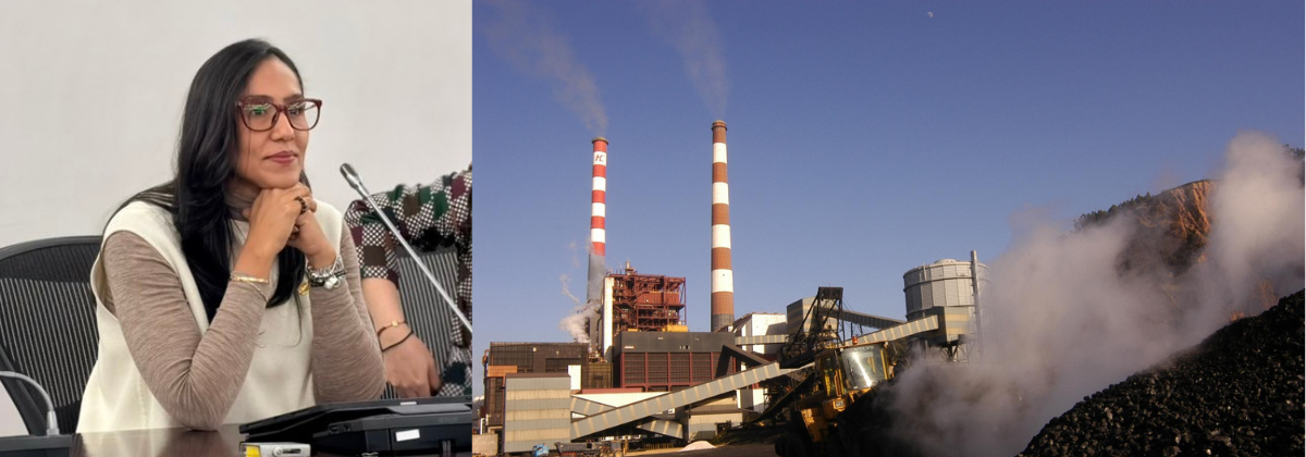 Claudia-Margarita-Zuleta-y-la-propuesta-de-la-termoeléctrica-web