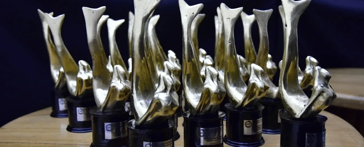 Premios Sirena Vallenata.
