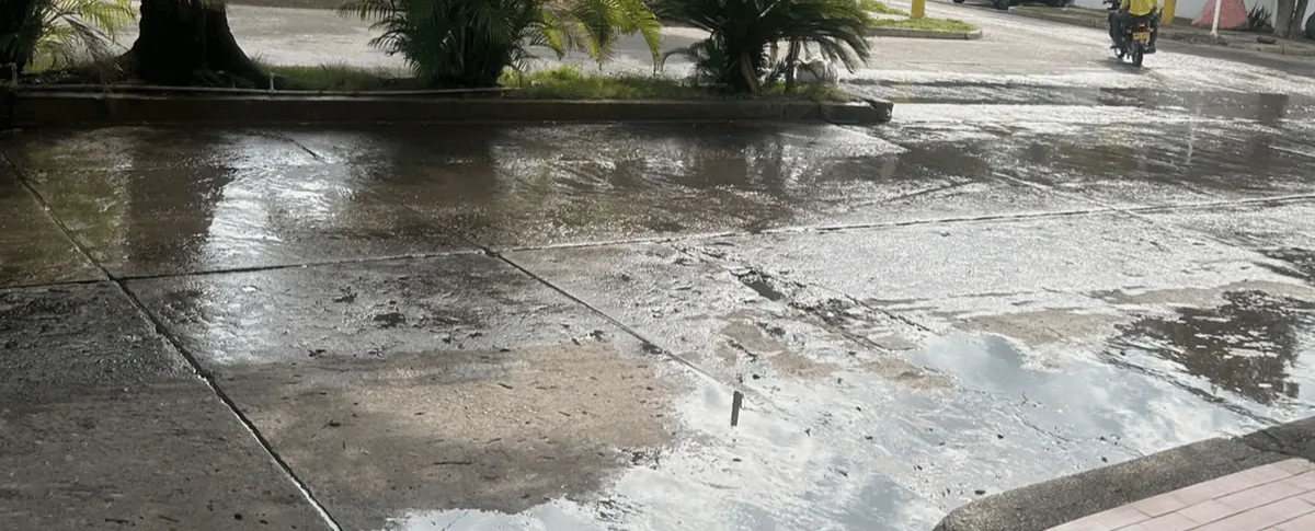 El manjol está ubicado en la carrera 12 con calle 9C.