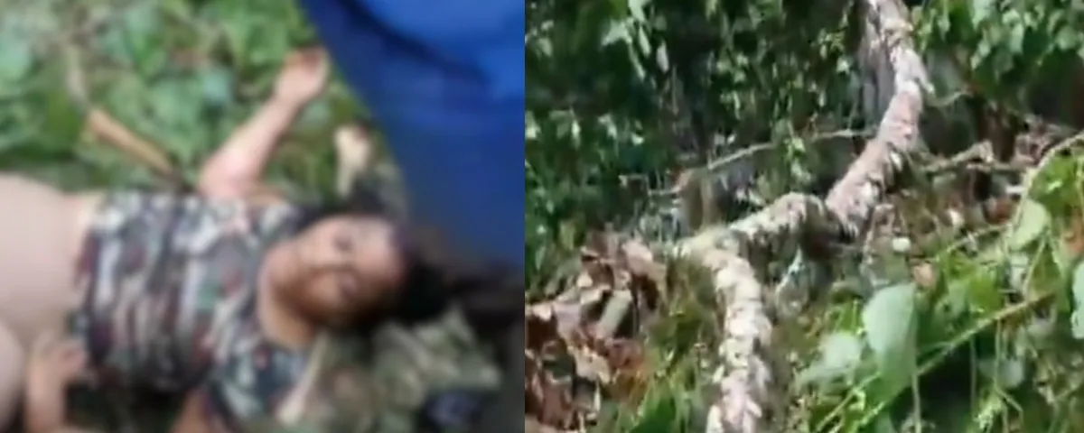 Tragedia en Manaure: un árbol cayó sobre una familia y dejó dos muertos