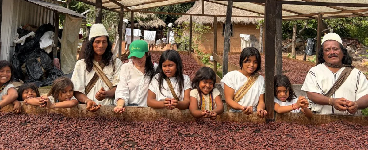 El cacao del Cesar conquista mercados internacionales
