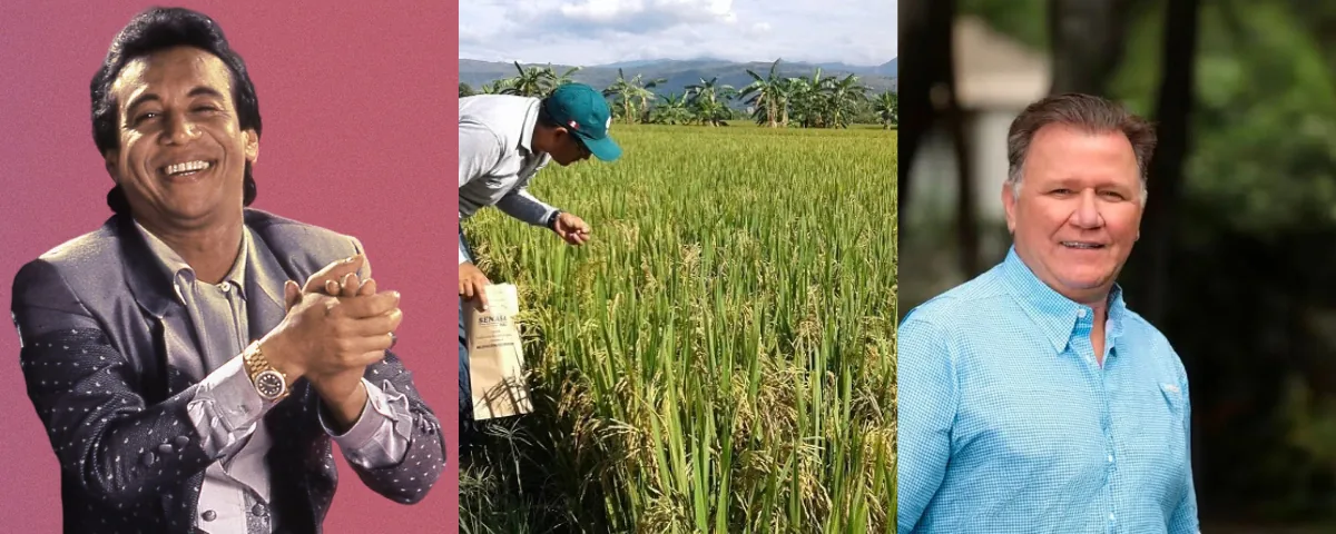 Del “vamos a sembrar arroz” de Diomedes al “no sembremos arroz” del ministro Dangond