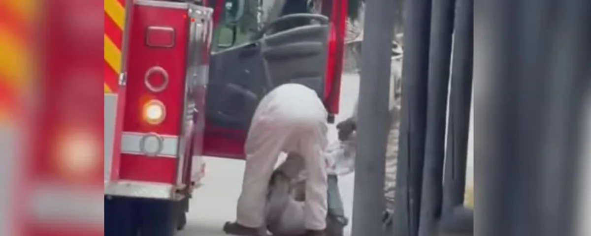 Un enjambre de abejas atacó a un hombre en silla de ruedas en Codazzi: está en UCI