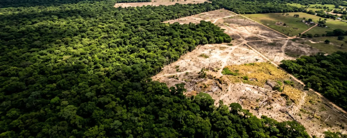 La pérdida de cobertura arbórea en el Cesar creció un 126,3 % entre 2013 y 2025, concentrándose principalmente en municipios como Chimichagua, Valledupar y El Copey.